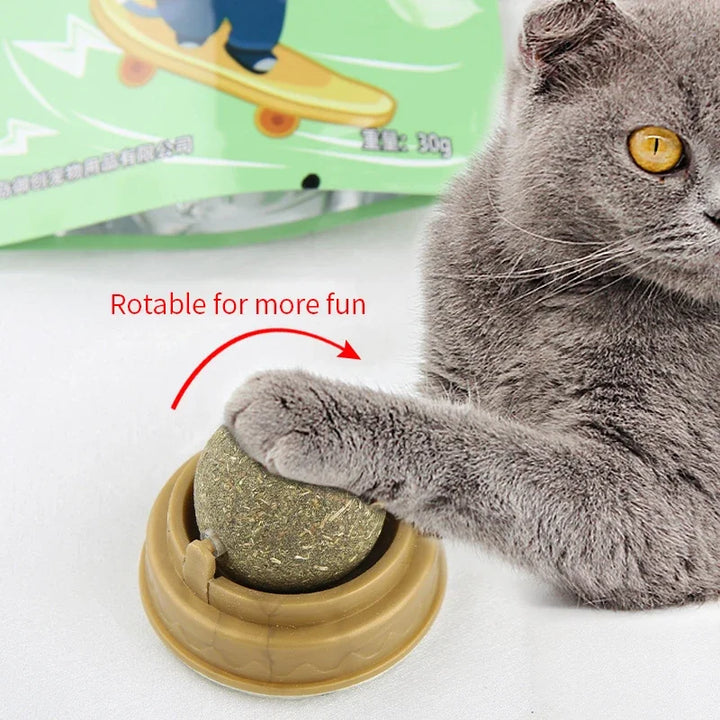CatNip JoyBall — Wall-Mount Cat Treat & Toy