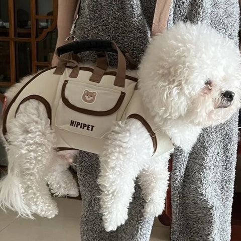 Dog Outing Backpack — Hands-Free Pet Carrier (Dual-Shoulder, Breathable & Portable)